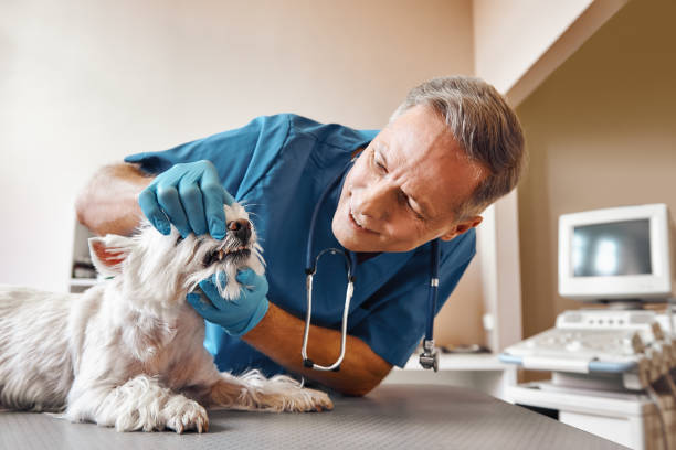 Best 24-Hour Dental Clinic Near Me  in Starke, FL